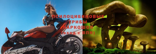 мяу мяу мука Арсеньев