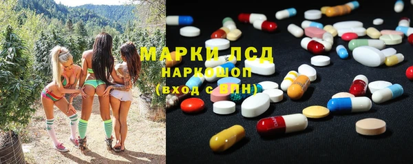 мяу мяу мука Арсеньев