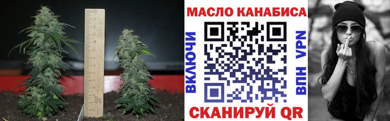 наркошоп  Ишим  Дистиллят ТГК Wax 